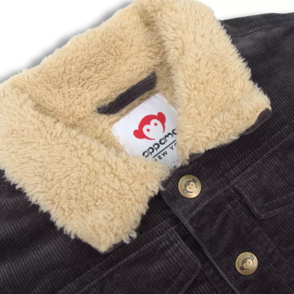 BOY Appaman Winter Coats | Winter Coats-Heritage Cord Jacket